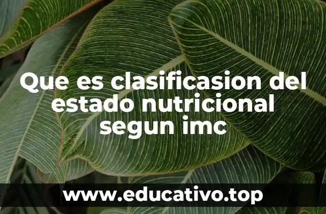 Que es clasificasion del estado nutricional segun imc