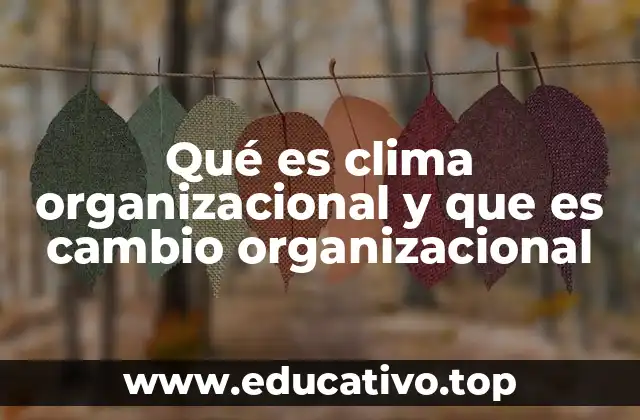 El entorno que moldea la identidad de una empresa