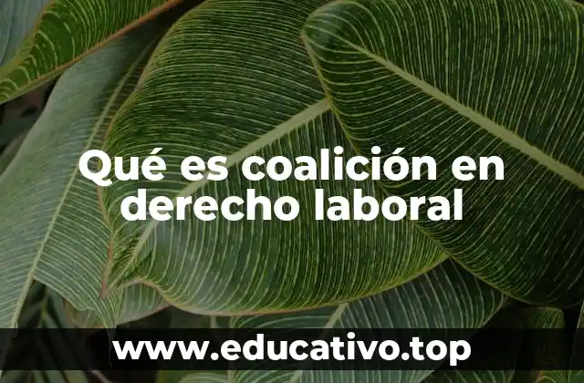 Qué es coalición en derecho laboral