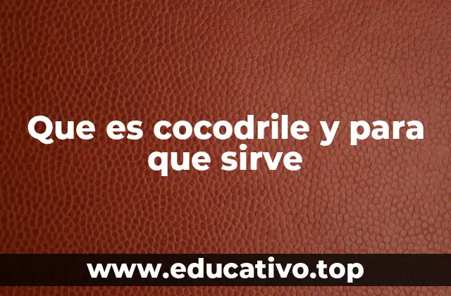 Que es cocodrile y para que sirve