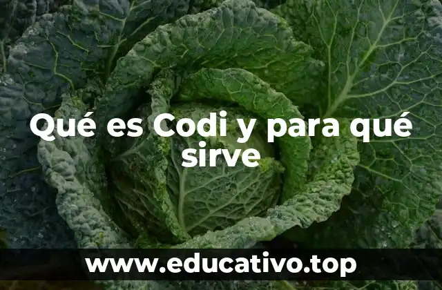 Qué es Codi y para qué sirve