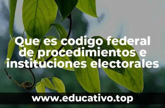 Que es codigo federal de procedimientos e instituciones electorales