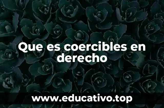 La importancia de los derechos coercibles en el sistema legal