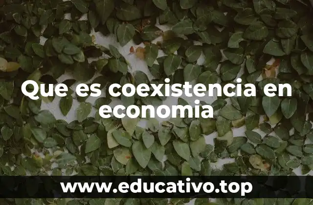 La coexistencia como fenómeno estructural en economías modernas