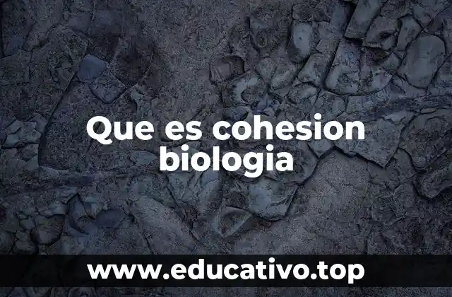 Que es cohesion biologia