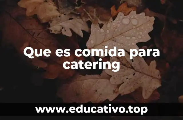 Que es comida para catering