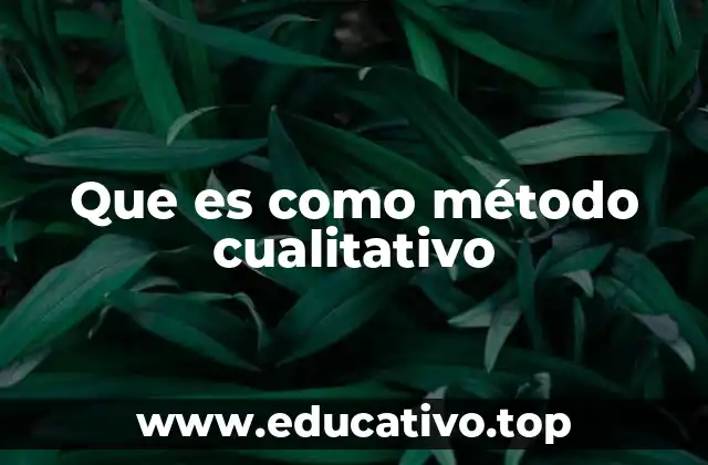 Que es como método cualitativo