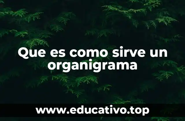 Que es como sirve un organigrama