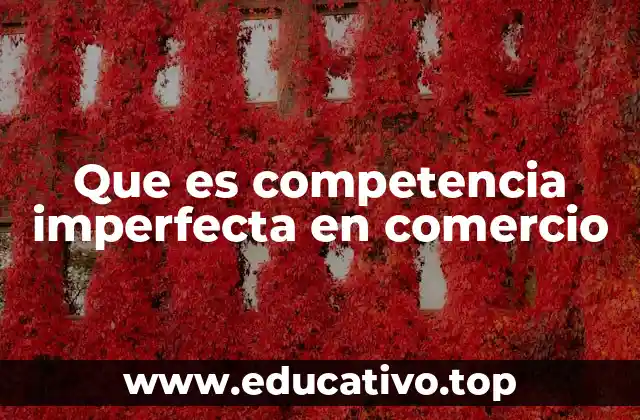 Que es competencia imperfecta en comercio