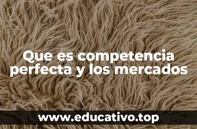 Características que definen la competencia perfecta