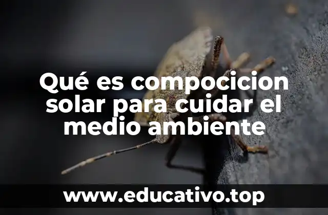 La energía solar y su relación con el cuidado ambiental