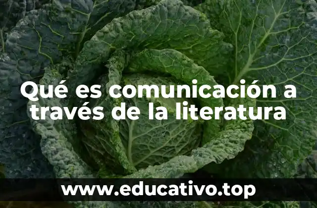 Qué es comunicación a través de la literatura