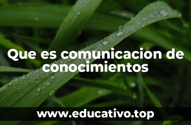 Que es comunicacion de conocimientos