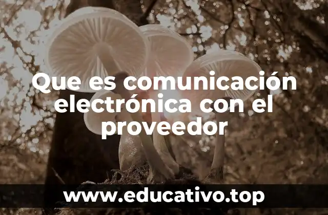 Que es comunicación electrónica con el proveedor