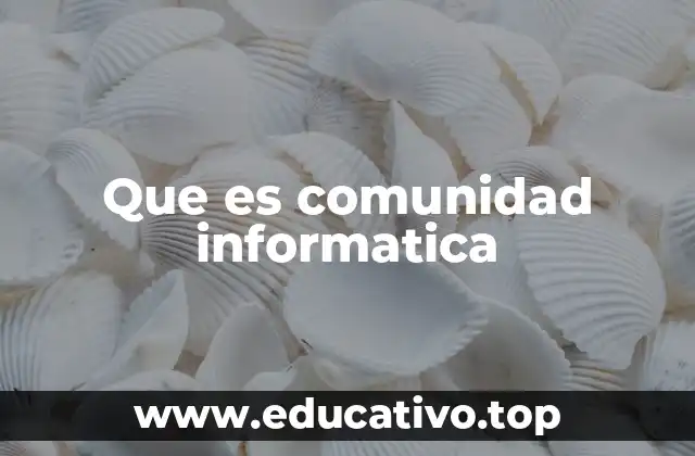 Que es comunidad informatica