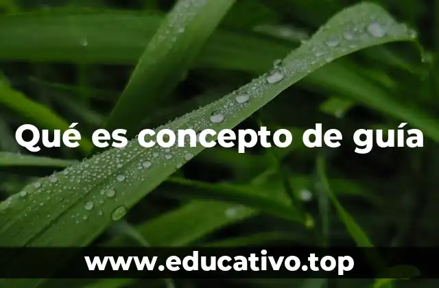 Qué es concepto de guía