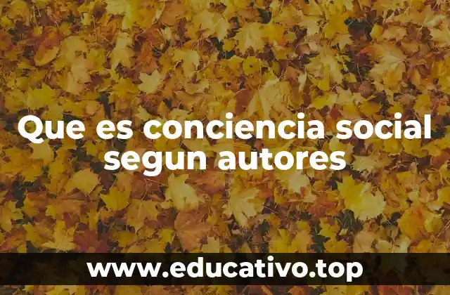 Que es conciencia social segun autores