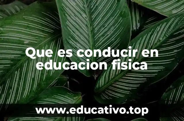 La importancia del rol del docente como guía en el aula de educación física