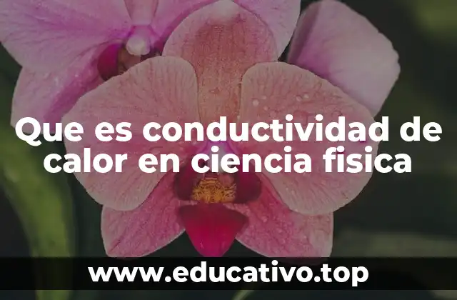 Que es conductividad de calor en ciencia fisica