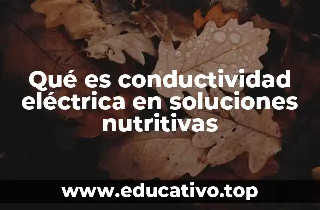 Qué es conductividad eléctrica en soluciones nutritivas