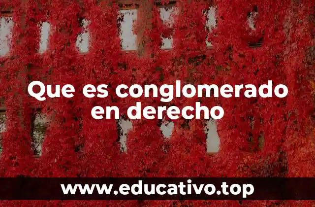 Que es conglomerado en derecho