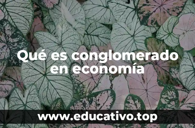 Qué es conglomerado en economía