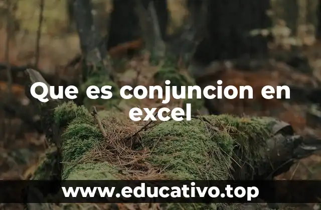 Que es conjuncion en excel