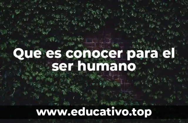 El conocimiento como base de la existencia humana