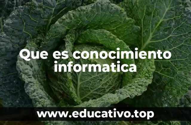 Que es conocimiento informatica