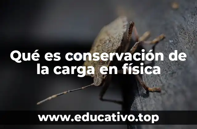 Qué es conservación de la carga en física