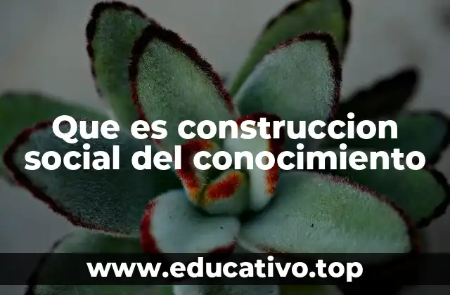 Que es construccion social del conocimiento