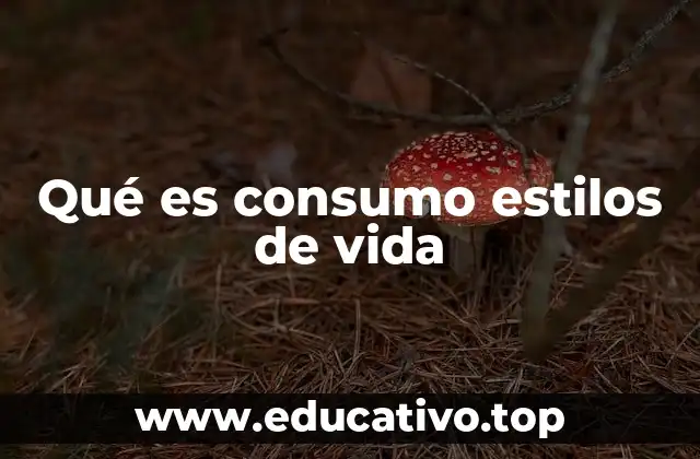 El impacto del estilo de vida en las decisiones de consumo