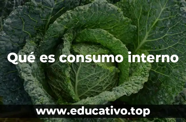 Qué es consumo interno