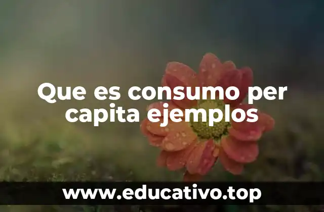 Que es consumo per capita ejemplos