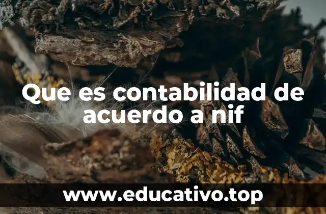 Que es contabilidad de acuerdo a nif