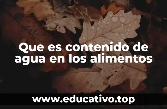 Que es contenido de agua en los alimentos