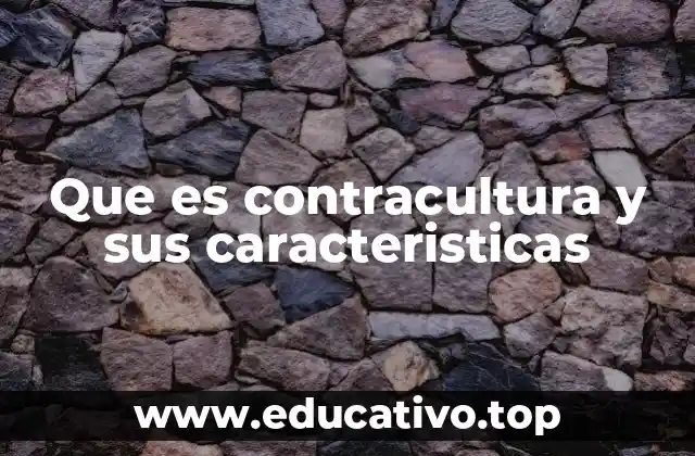 Que es contracultura y sus caracteristicas