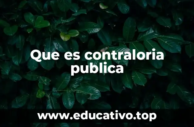 El papel de la contraloría en la gobernanza pública