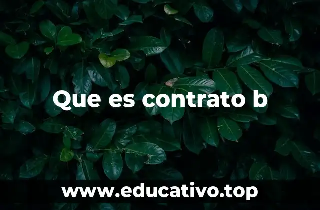 Tipos de contratos laborales y el lugar del contrato B