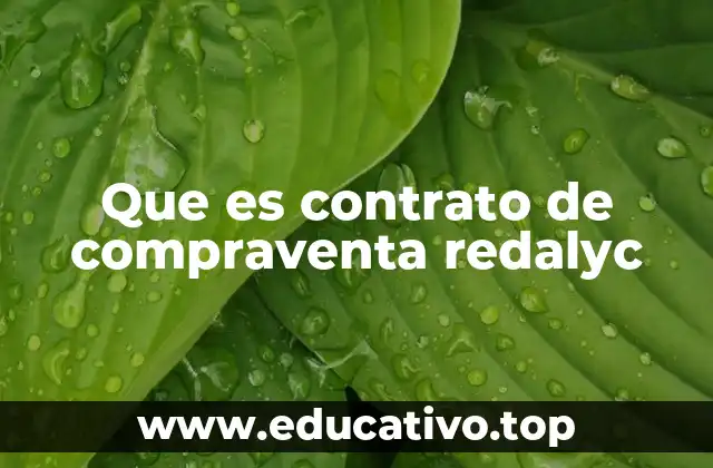 Que es contrato de compraventa redalyc
