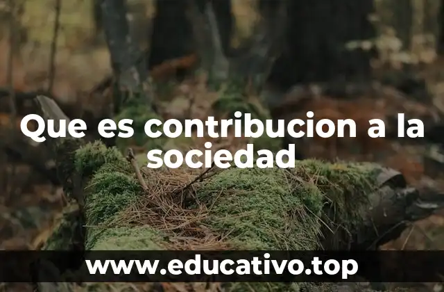Que es contribucion a la sociedad