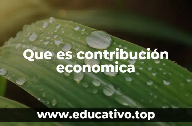 Que es contribución economica