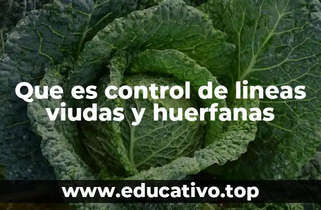Que es control de lineas viudas y huerfanas