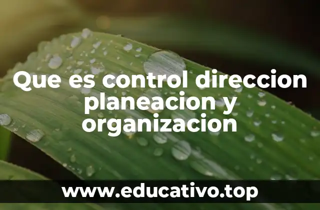 Que es control direccion planeacion y organizacion