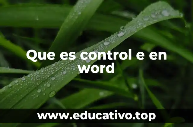 Que es control e en word