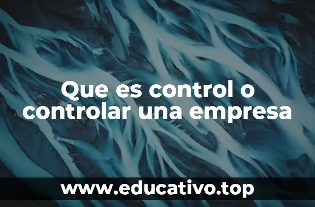 La importancia del control en la gestión empresarial