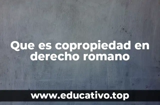 El papel de la copropiedad en el sistema jurídico romano