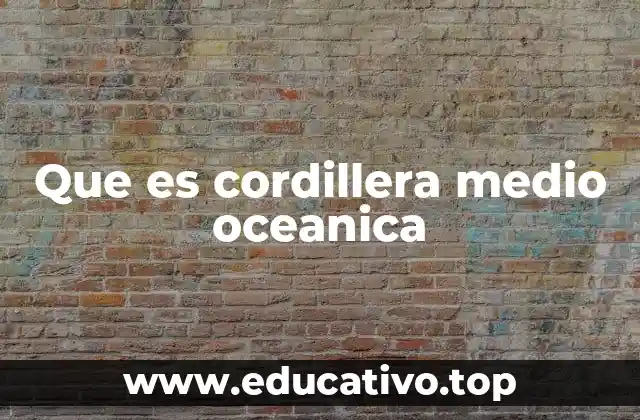 Que es cordillera medio oceanica