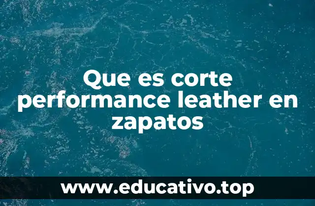 Que es corte performance leather en zapatos