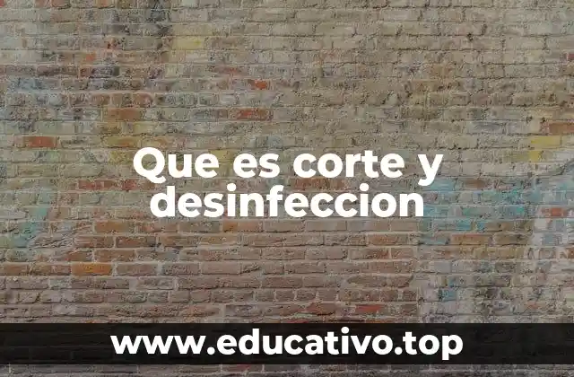 La importancia de la limpieza y protección en entornos críticos